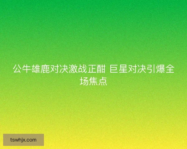 公牛雄鹿对决激战正酣 巨星对决引爆全场焦点