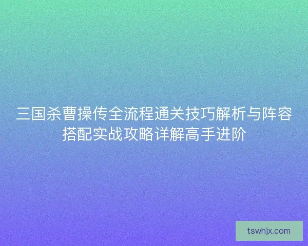 三国杀曹操传全流程通关技巧解析与阵容搭配实战攻略详解高手进阶