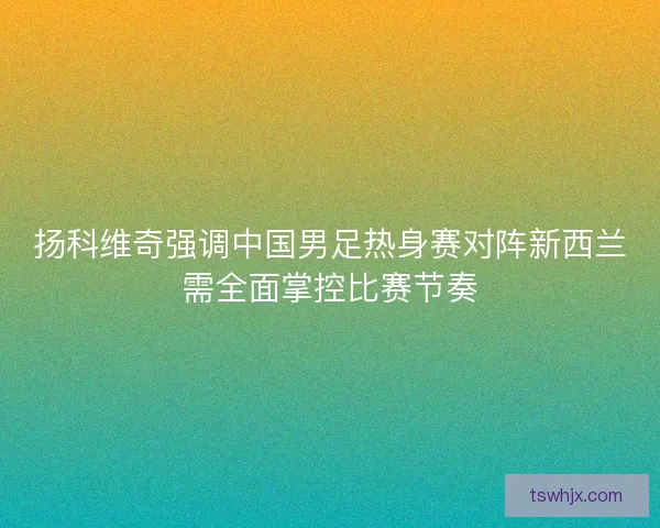 扬科维奇强调中国男足热身赛对阵新西兰需全面掌控比赛节奏