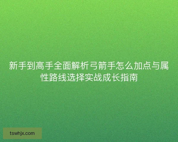 新手到高手全面解析弓箭手怎么加点与属性路线选择实战成长指南